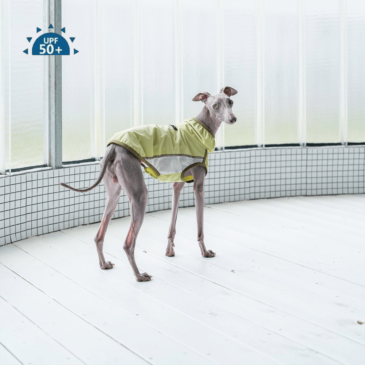 UV Protection Cooling Vest Lightweight Summer Dog Shirt - PIKAPIKA