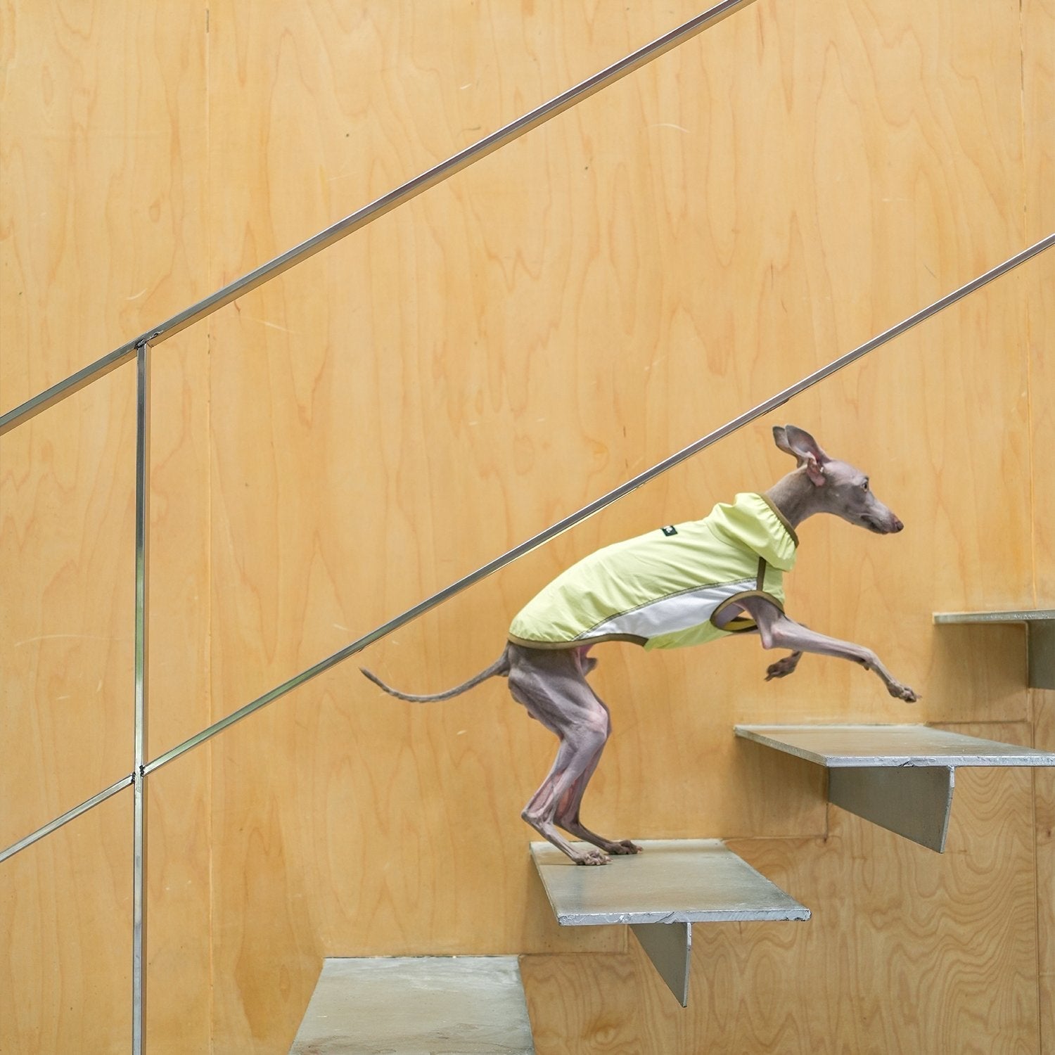 UV Protection Cooling Vest Lightweight Summer Dog Shirt - PIKAPIKA