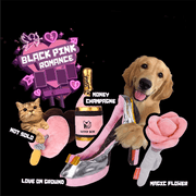 Valentine's Day Squeaky Dog Toy Durable Chew Toy - PIKAPIKA