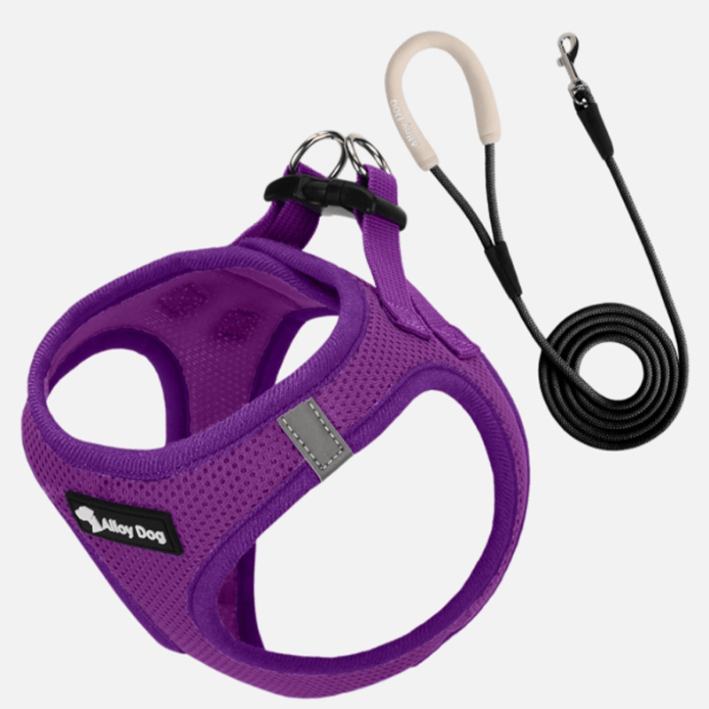 Vest Dog Harness H - Shaped Adjustable Leash for Small Medium Dogs - PIKAPIKA