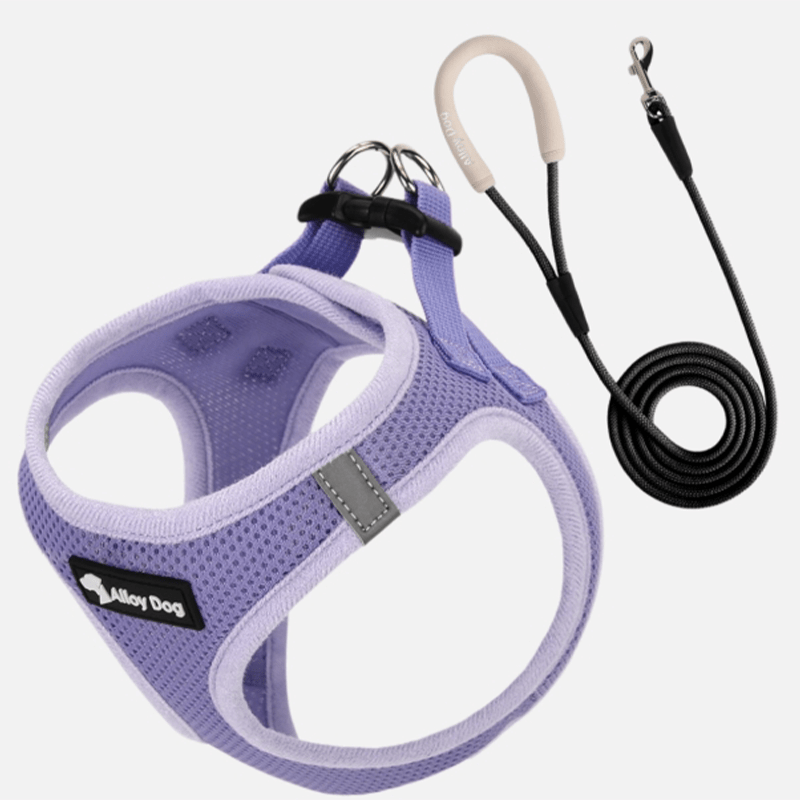 Vest Dog Harness H - Shaped Adjustable Leash for Small Medium Dogs - PIKAPIKA