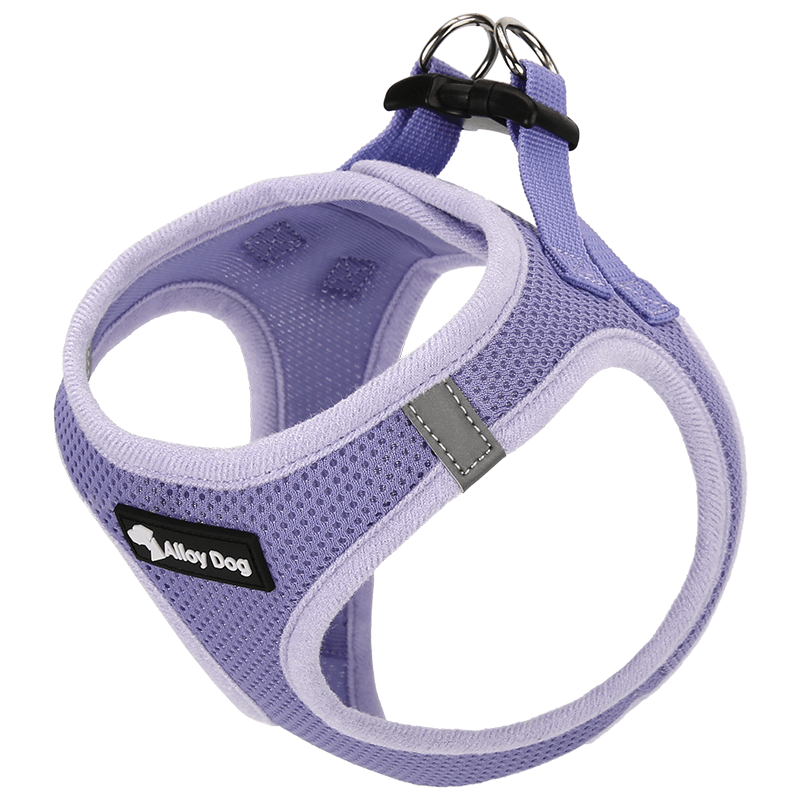 Vest Dog Harness H - Shaped Adjustable Leash for Small Medium Dogs - PIKAPIKA