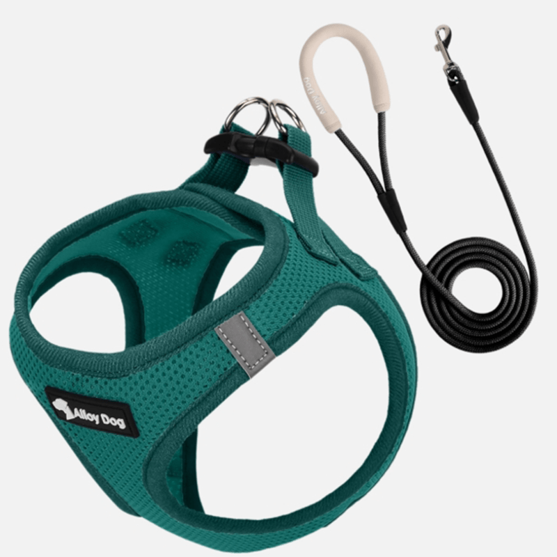 Vest Dog Harness H - Shaped Adjustable Leash for Small Medium Dogs - PIKAPIKA