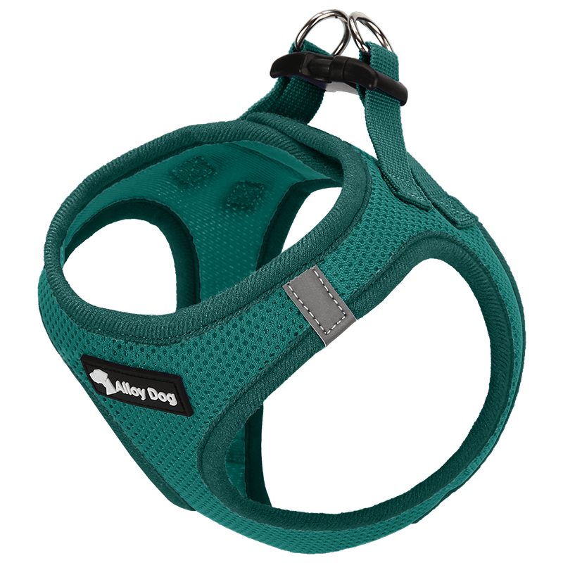 Vest Dog Harness H - Shaped Adjustable Leash for Small Medium Dogs - PIKAPIKA