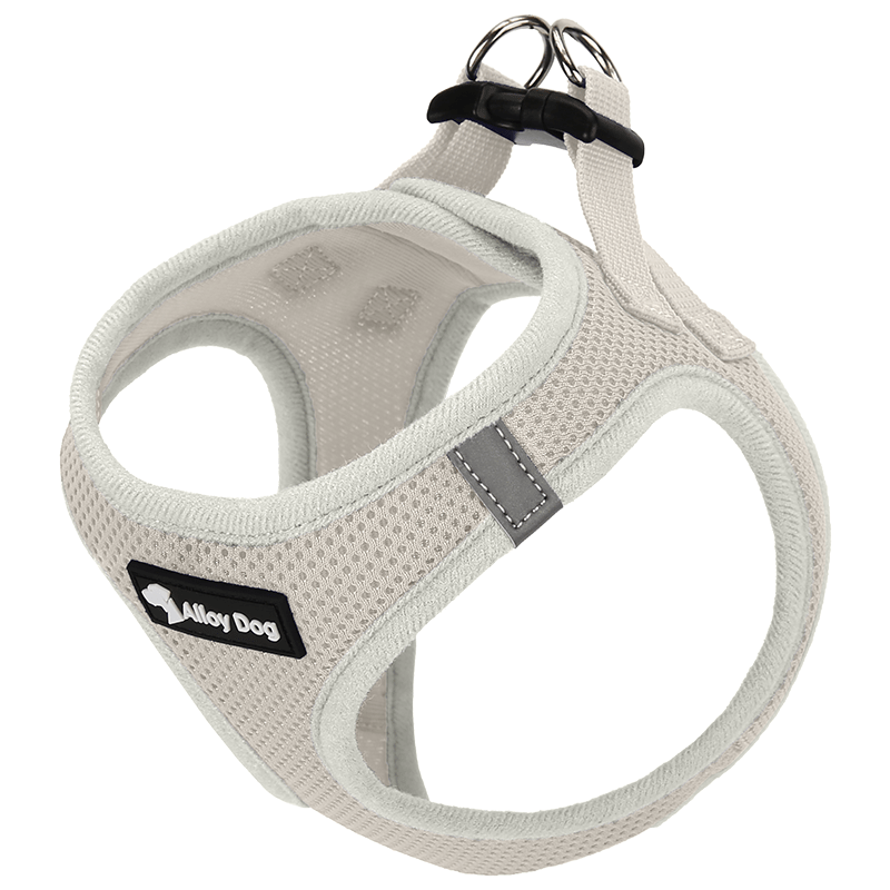 Vest Dog Harness H - Shaped Adjustable Leash for Small Medium Dogs - PIKAPIKA