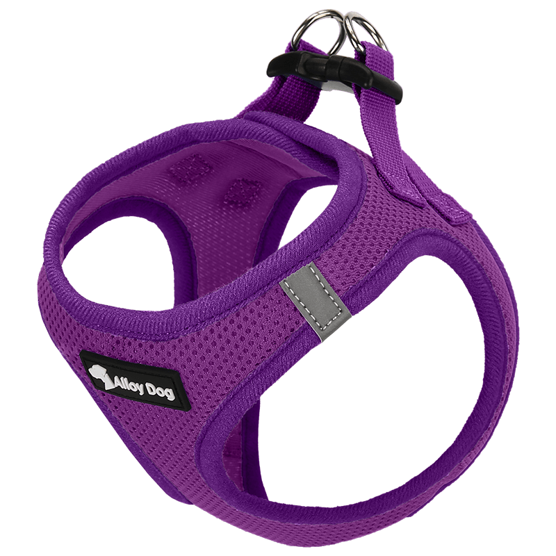 Vest Dog Harness H - Shaped Adjustable Leash for Small Medium Dogs - PIKAPIKA