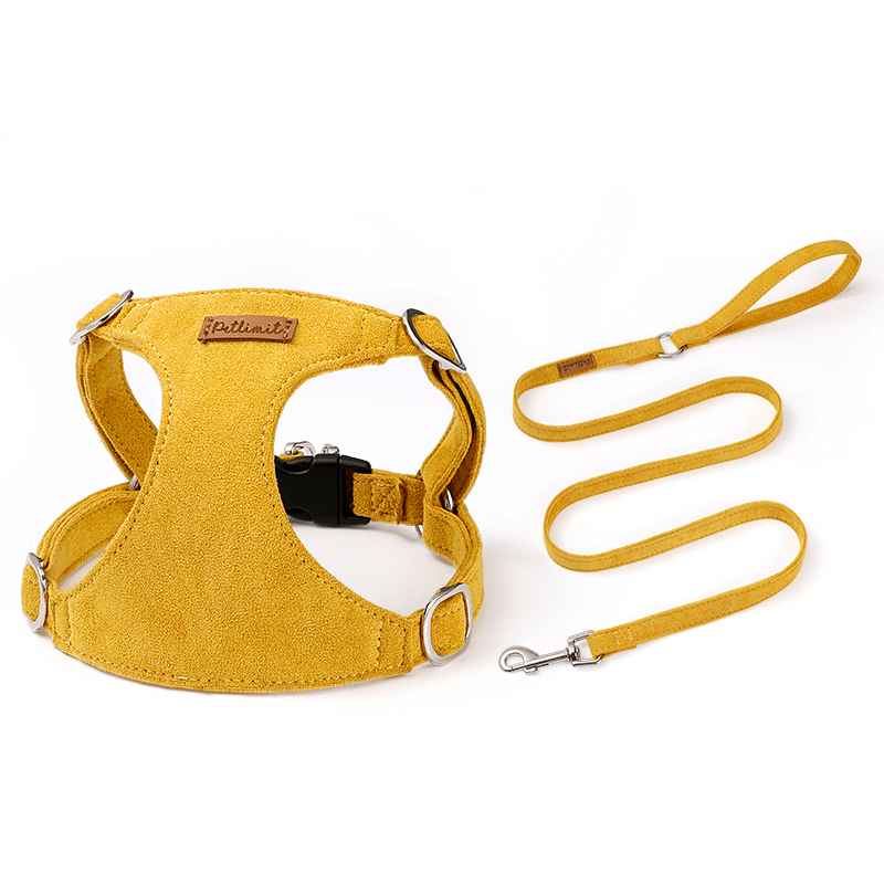 Vest - Style Dog Leash Harness Toy Small Dog Pet Walking Supplies - PIKAPIKA