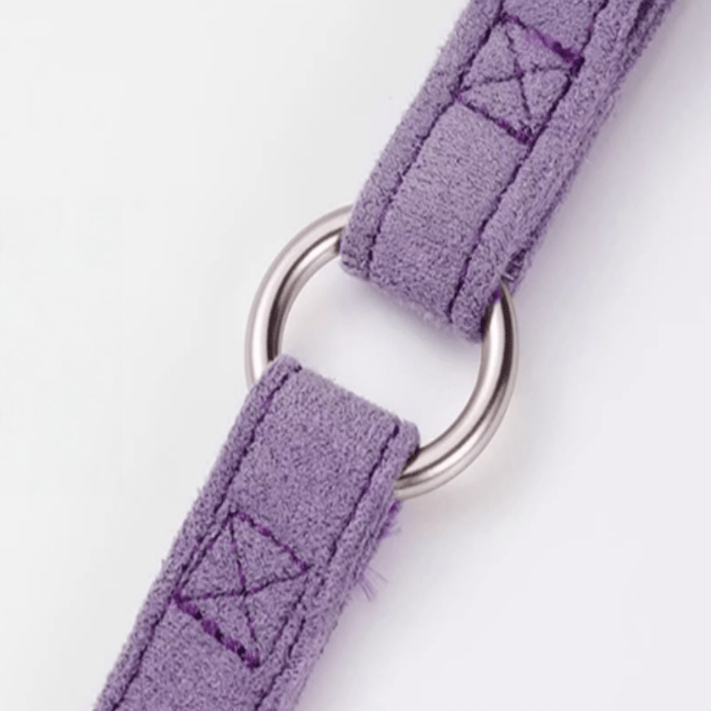 Vest - Style Dog Leash Harness Toy Small Dog Pet Walking Supplies - PIKAPIKA