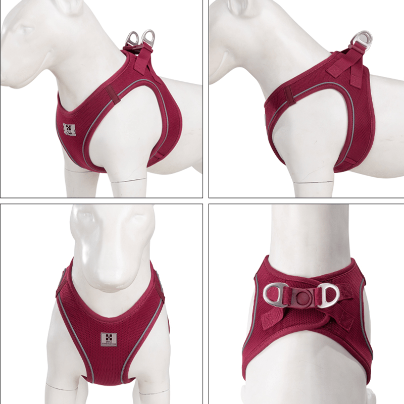 Vest Style Walking Harness Dog Leash Small Pet - PIKAPIKA