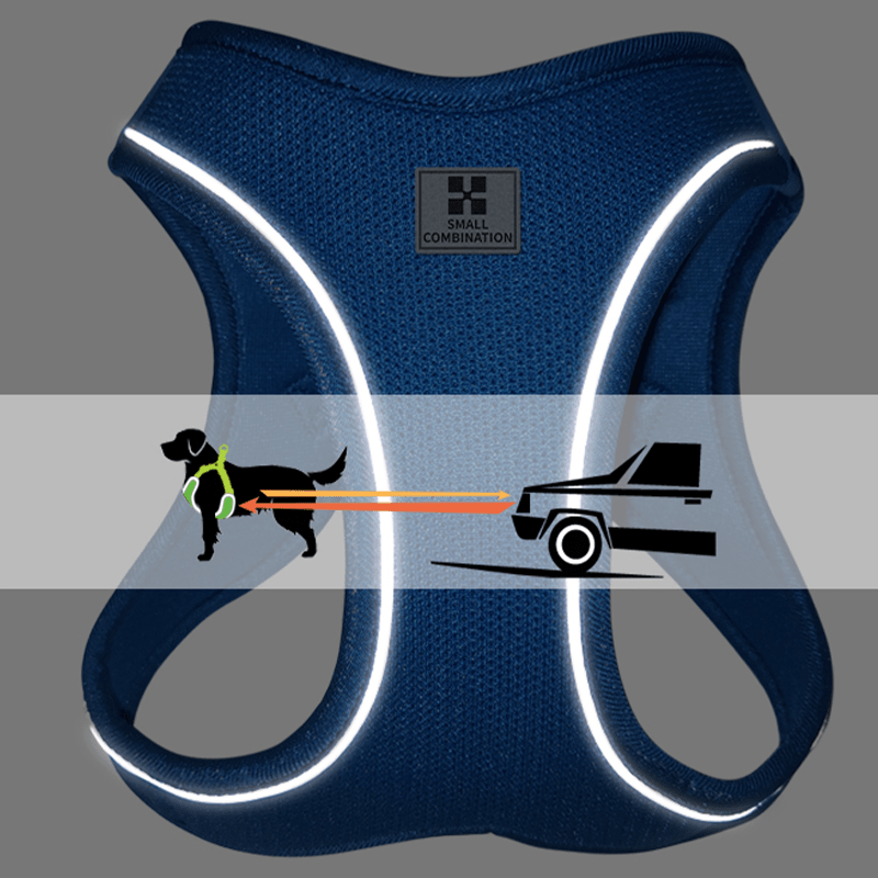 Vest Style Walking Harness Dog Leash Small Pet - PIKAPIKA