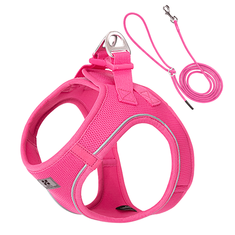 Vest Style Walking Harness Dog Leash Small Pet - PIKAPIKA