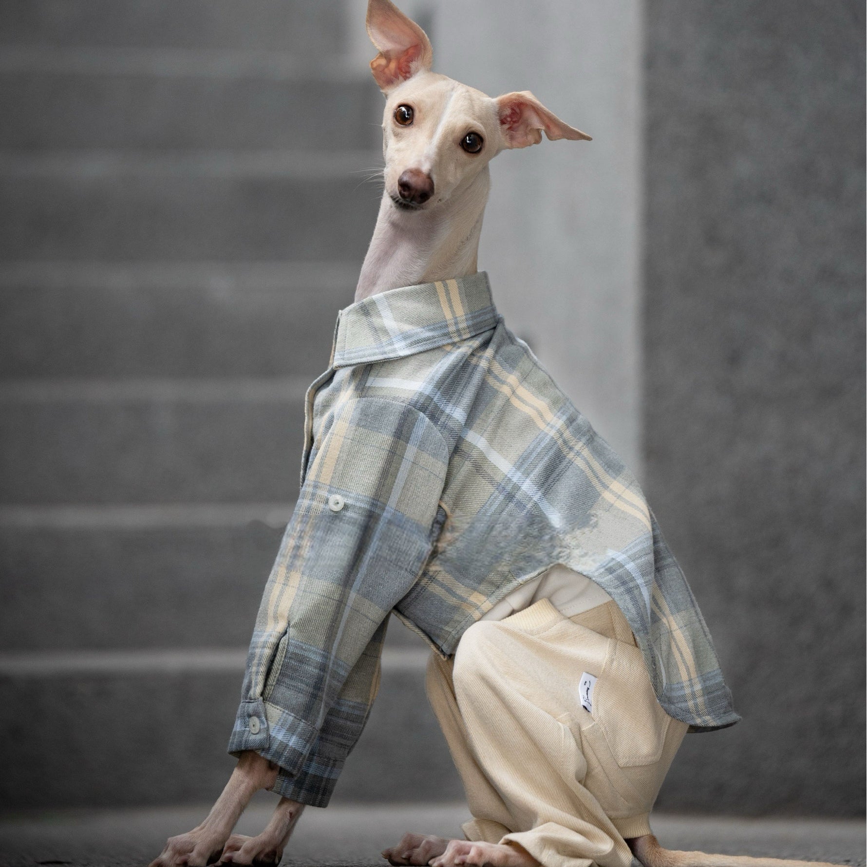 Vintage - Inspired Soft Plaid Shirt for Italian Greyhounds - PIKAPIKA