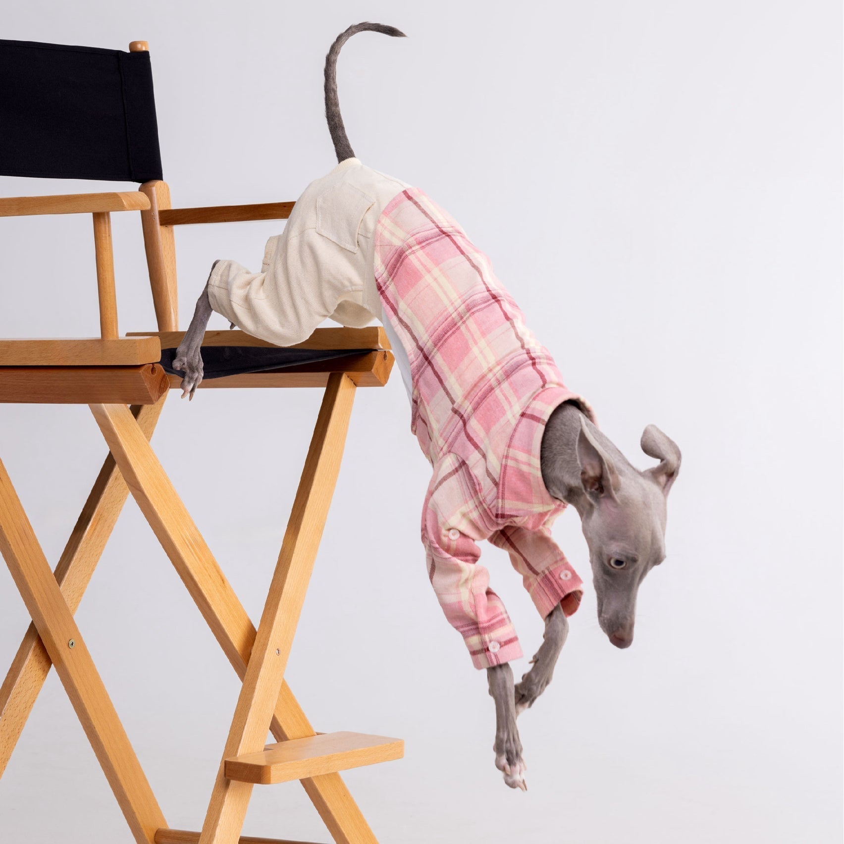Vintage - Inspired Soft Plaid Shirt for Italian Greyhounds - PIKAPIKA