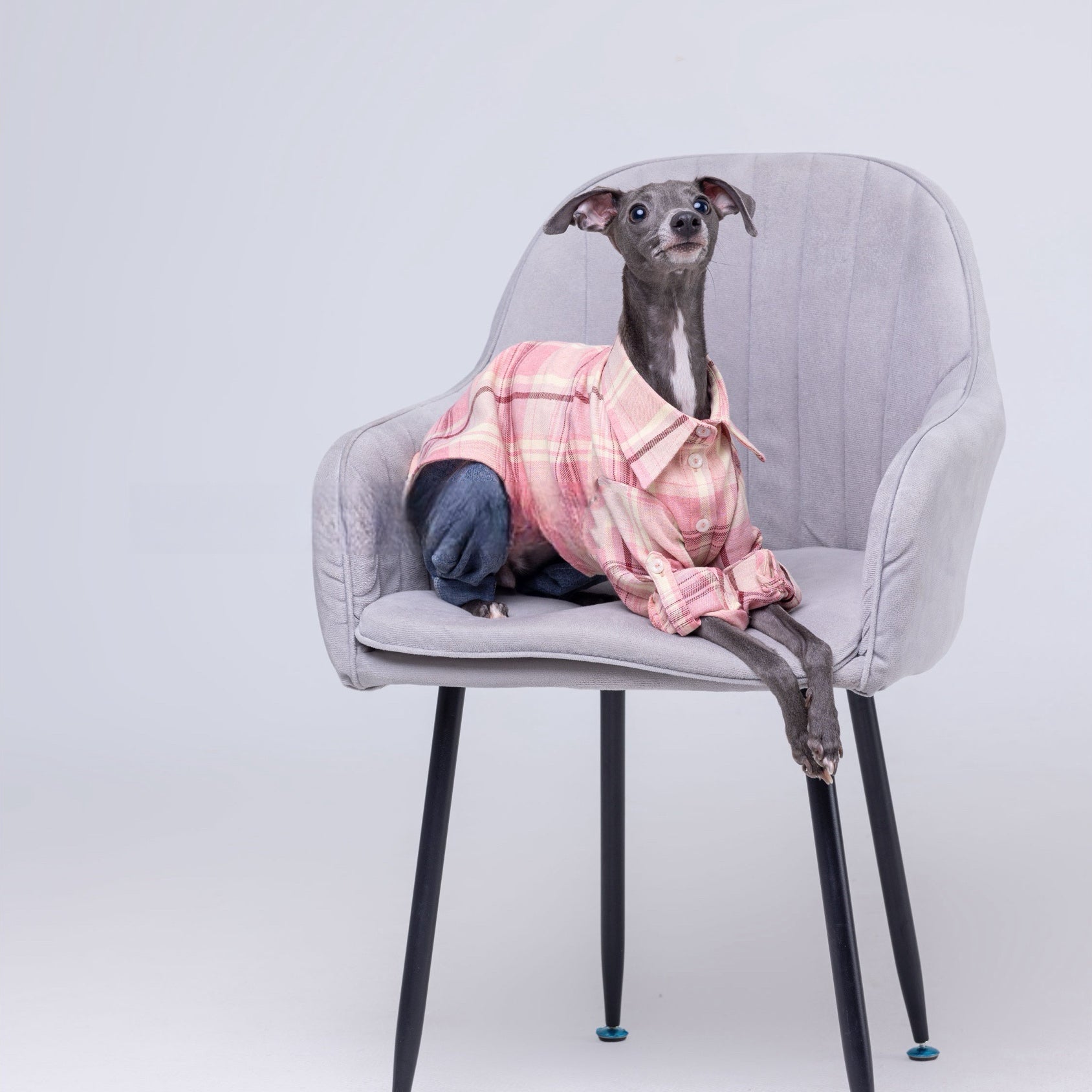 Vintage - Inspired Soft Plaid Shirt for Italian Greyhounds - PIKAPIKA