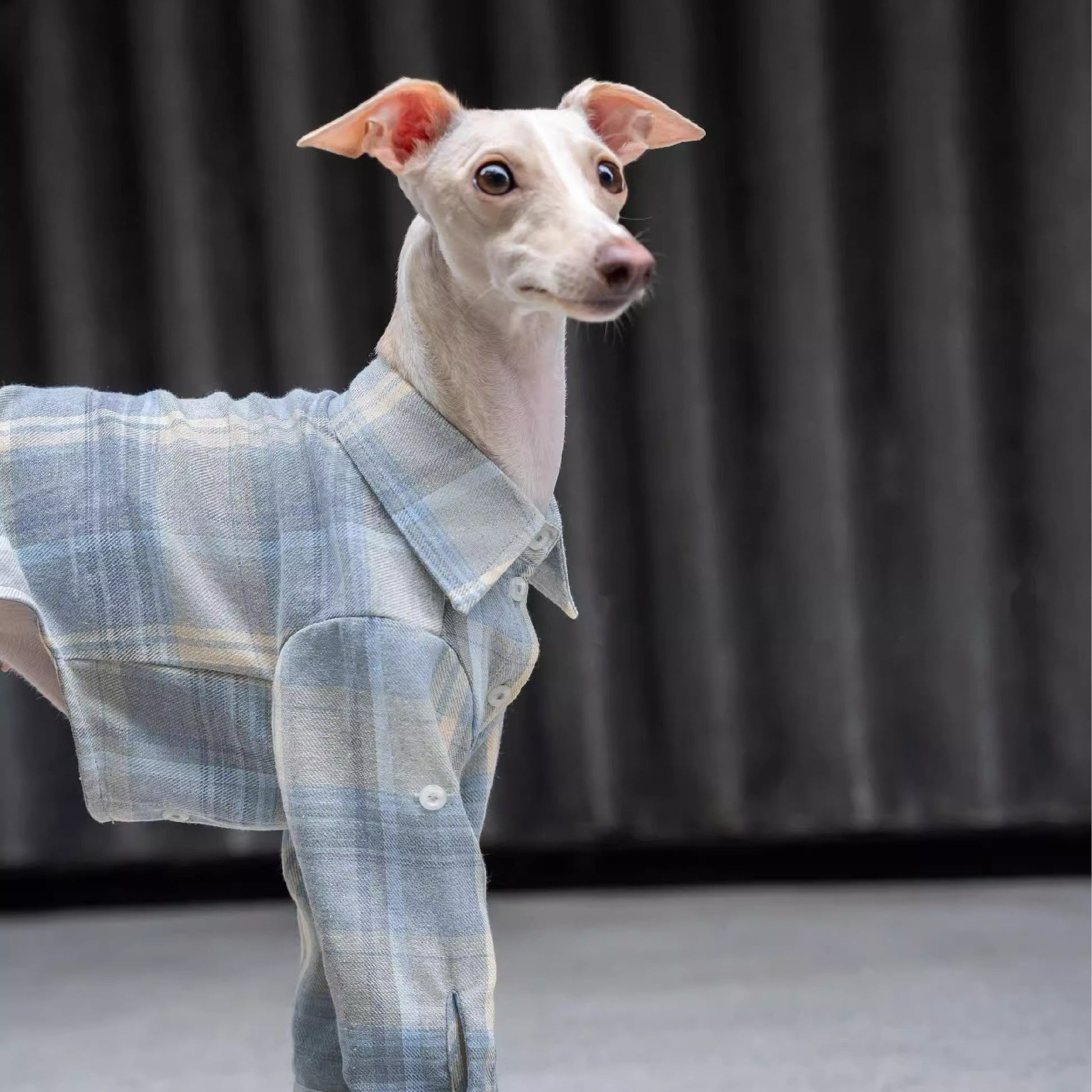 Vintage - Inspired Soft Plaid Shirt for Italian Greyhounds - PIKAPIKA