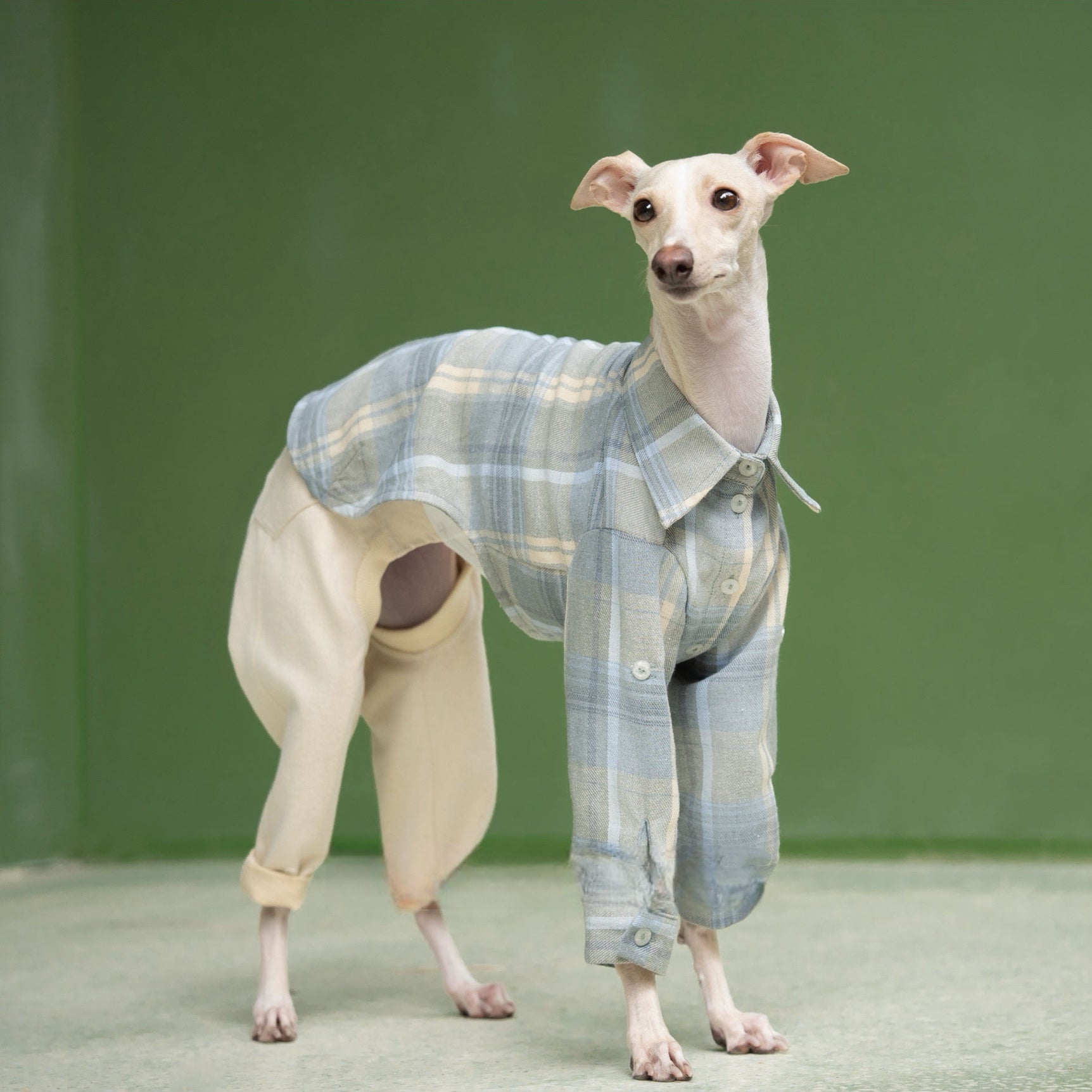 Vintage - Inspired Soft Plaid Shirt for Italian Greyhounds - PIKAPIKA