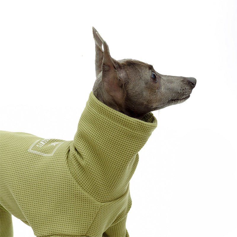 Waffle Onesie Italian Greyhound Whippet Dog Clothes - PIKAPIKA