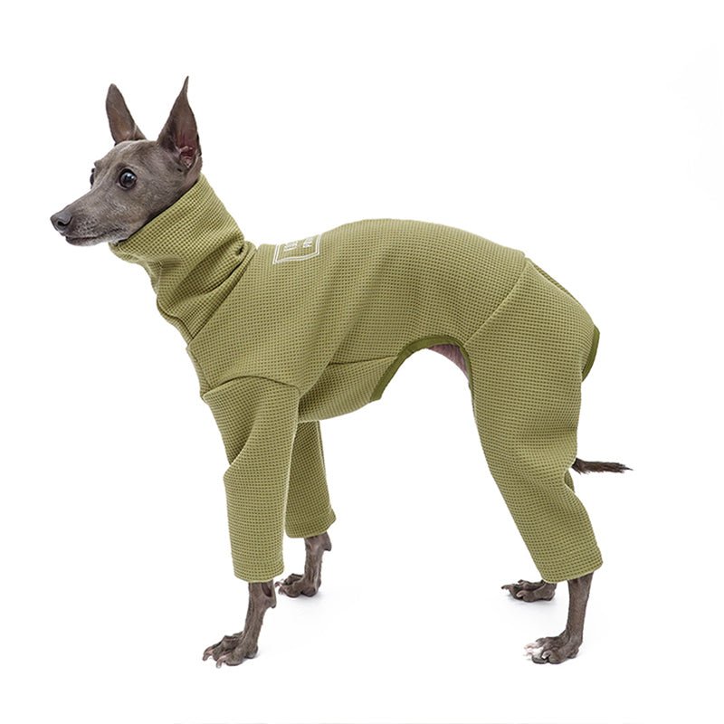 Waffle Onesie Italian Greyhound Whippet Dog Clothes - PIKAPIKA