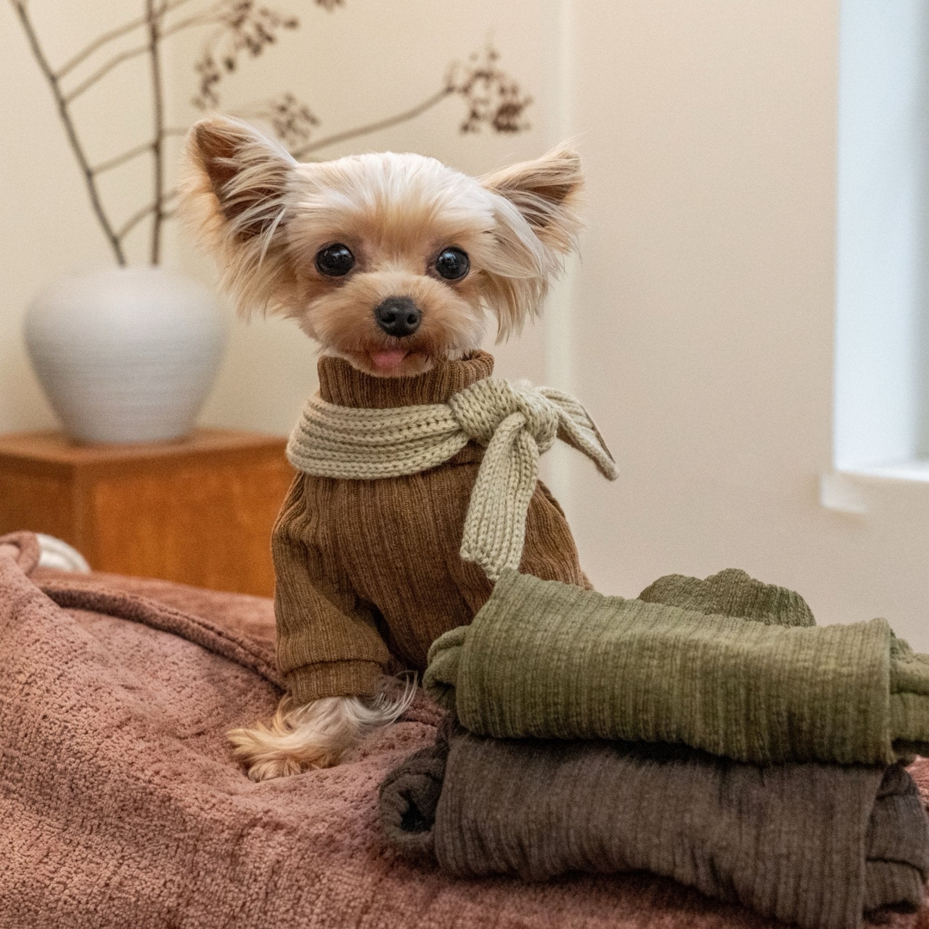 Warm Earth Tone Shirt for Toy Dogs Korean Style - PIKAPIKA