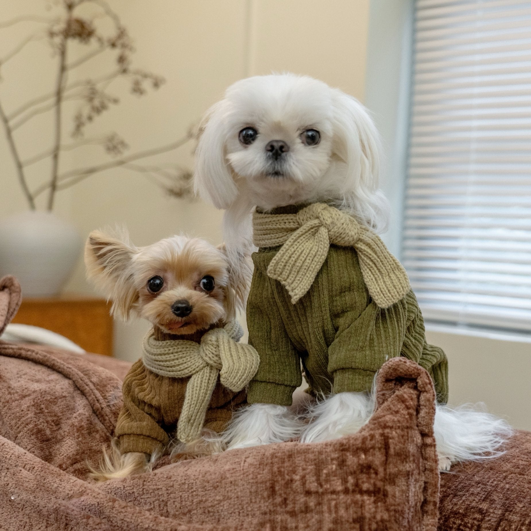 Warm Earth Tone Shirt for Toy Dogs Korean Style - PIKAPIKA