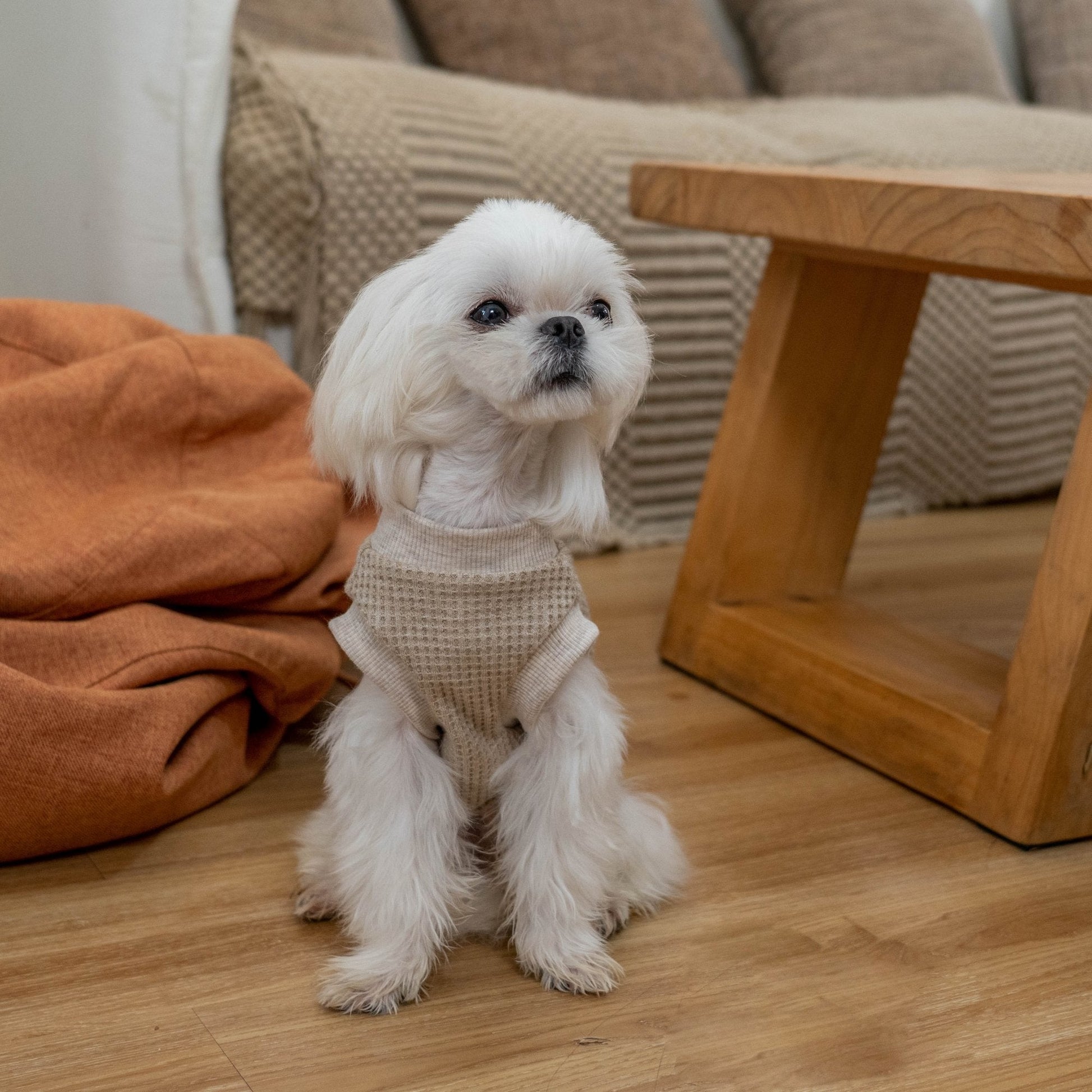 Warm Stretch Waffle Tank Top for Toy Dogs - PIKAPIKA