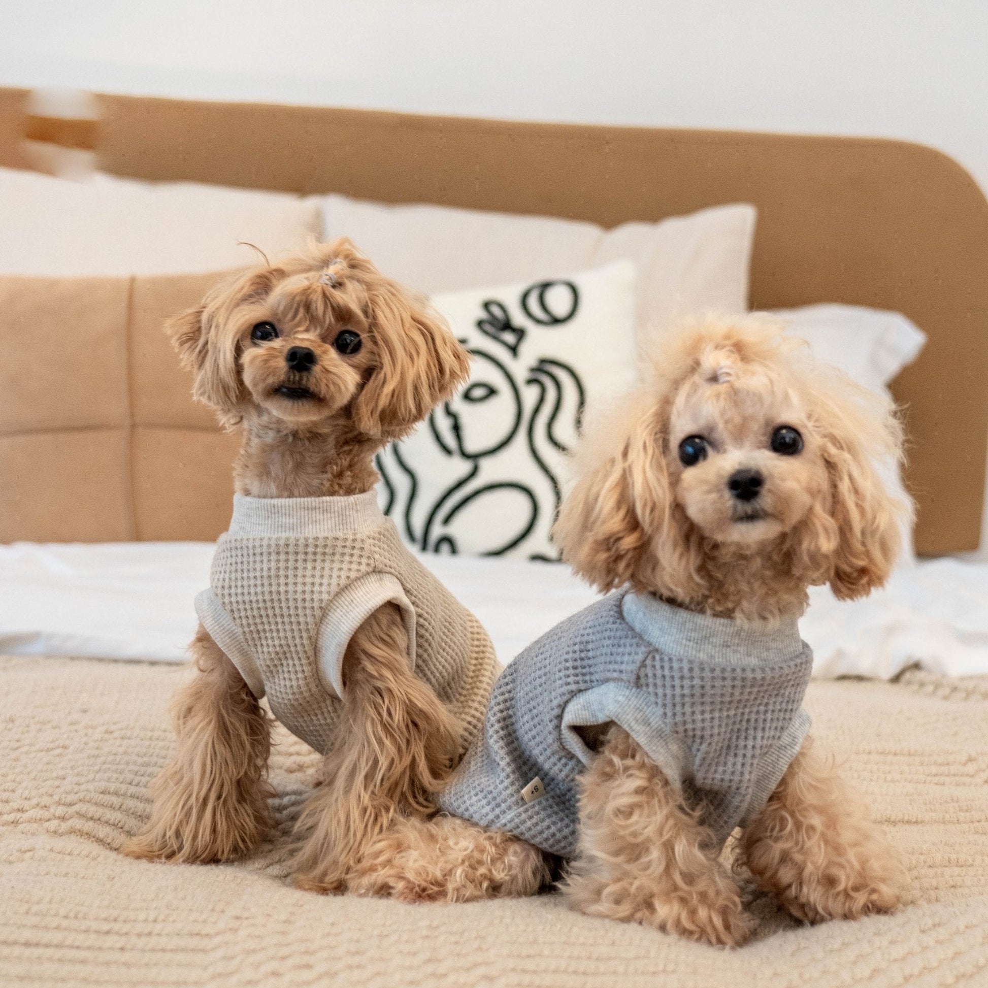 Warm Stretch Waffle Tank Top for Toy Dogs - PIKAPIKA