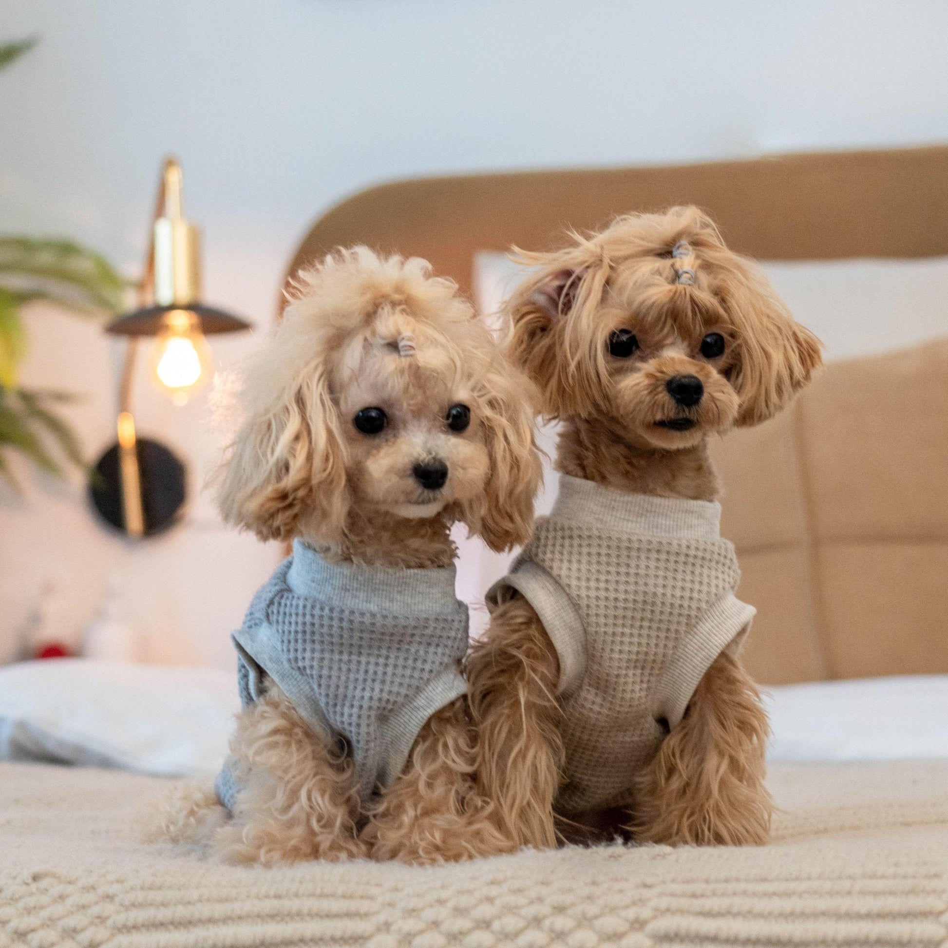 Warm Stretch Waffle Tank Top for Toy Dogs - PIKAPIKA