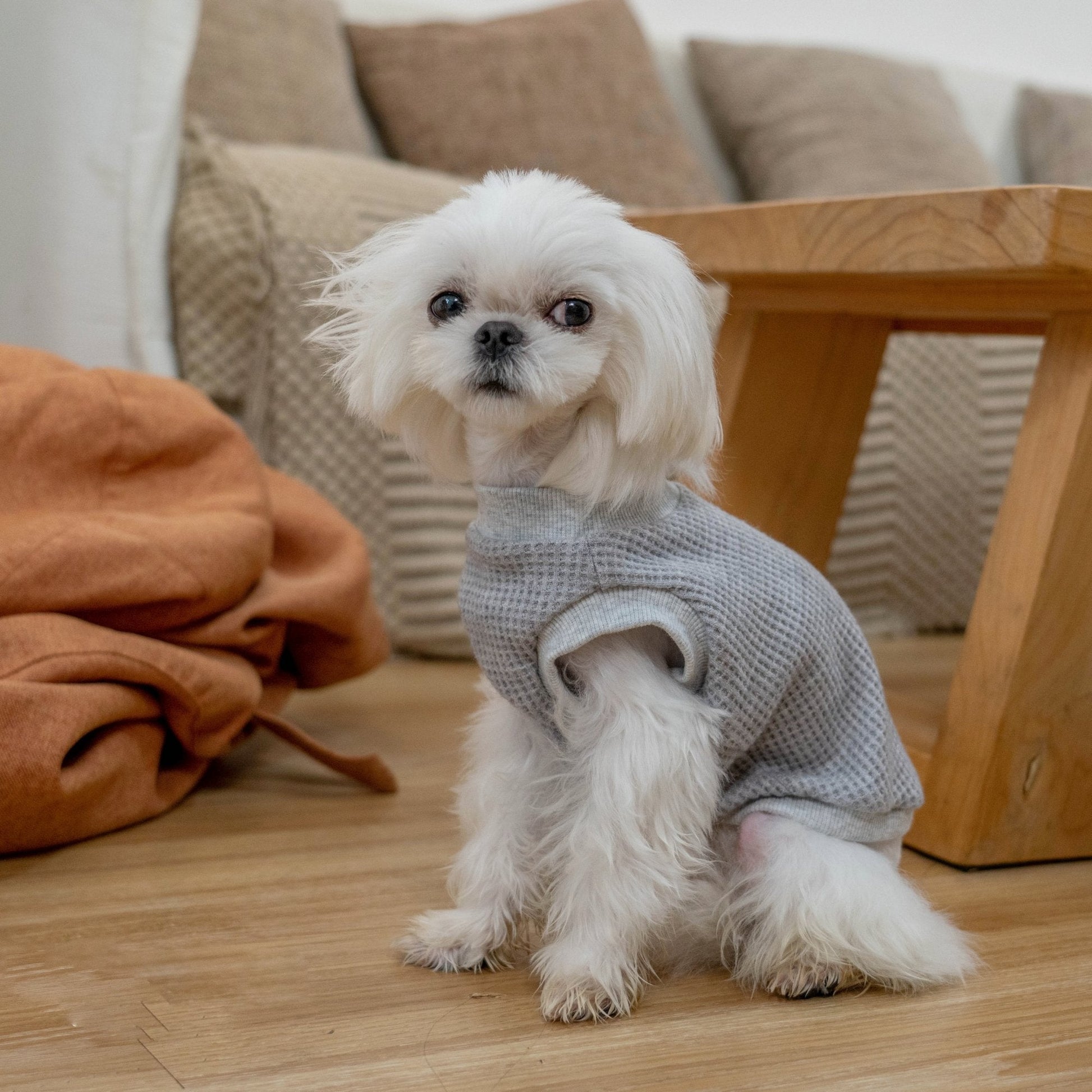 Warm Stretch Waffle Tank Top for Toy Dogs - PIKAPIKA