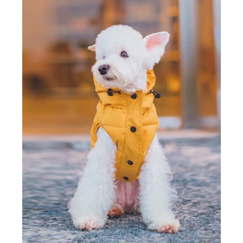 Waterproof Duck Down Padded Jacket Sleeveless Vest Hoodie Coat Dog Clothes - PIKAPIKA