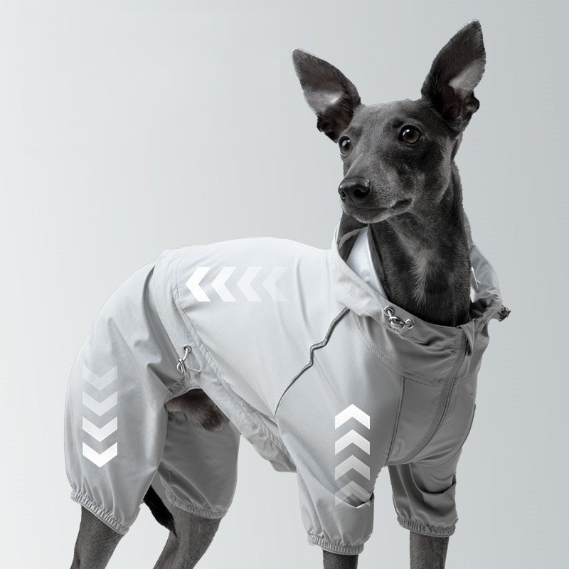 Waterproof Full Body Small Dog Raincoat Sighthounds Pet Outfit - PIKAPIKA