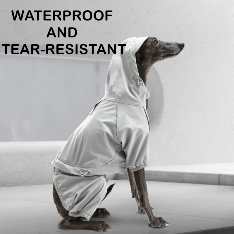 Waterproof Full Body Small Dog Raincoat Sighthounds Pet Outfit - PIKAPIKA