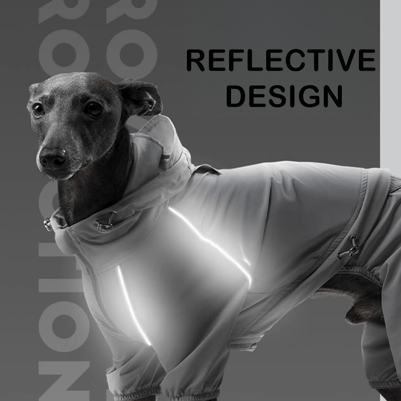 Waterproof Full Body Small Dog Raincoat Sighthounds Pet Outfit - PIKAPIKA