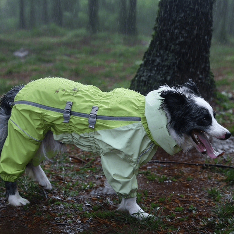 Waterproof Full - Cover Four - Leg Outdoor Big Dog Raincoat - PIKAPIKA