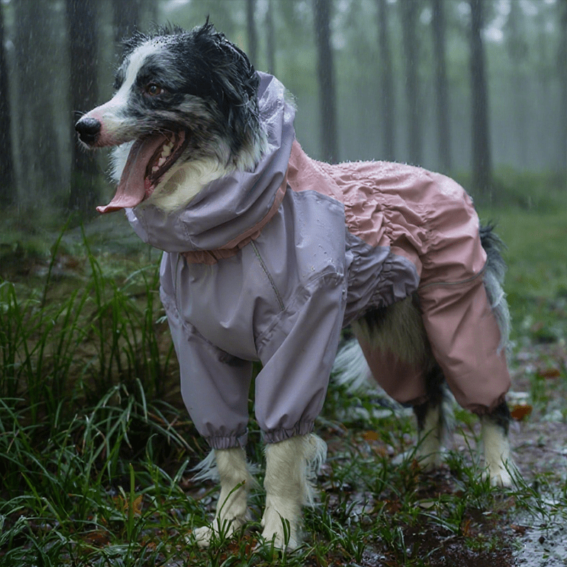 Waterproof Full - Cover Four - Leg Outdoor Big Dog Raincoat - PIKAPIKA