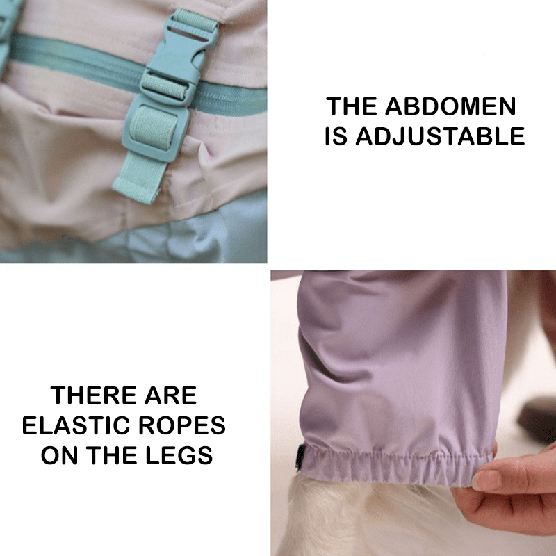 Waterproof Full - Cover Four - Leg Outdoor Big Dog Raincoat - PIKAPIKA