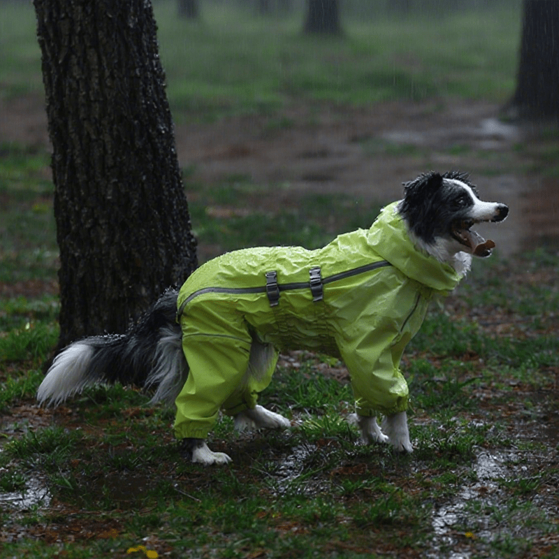 Waterproof Full - Cover Four - Leg Outdoor Big Dog Raincoat - PIKAPIKA
