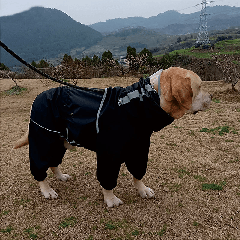 Waterproof Full - Cover Raincoat with Hood for Big Dogs Pet Rainwear - PIKAPIKA
