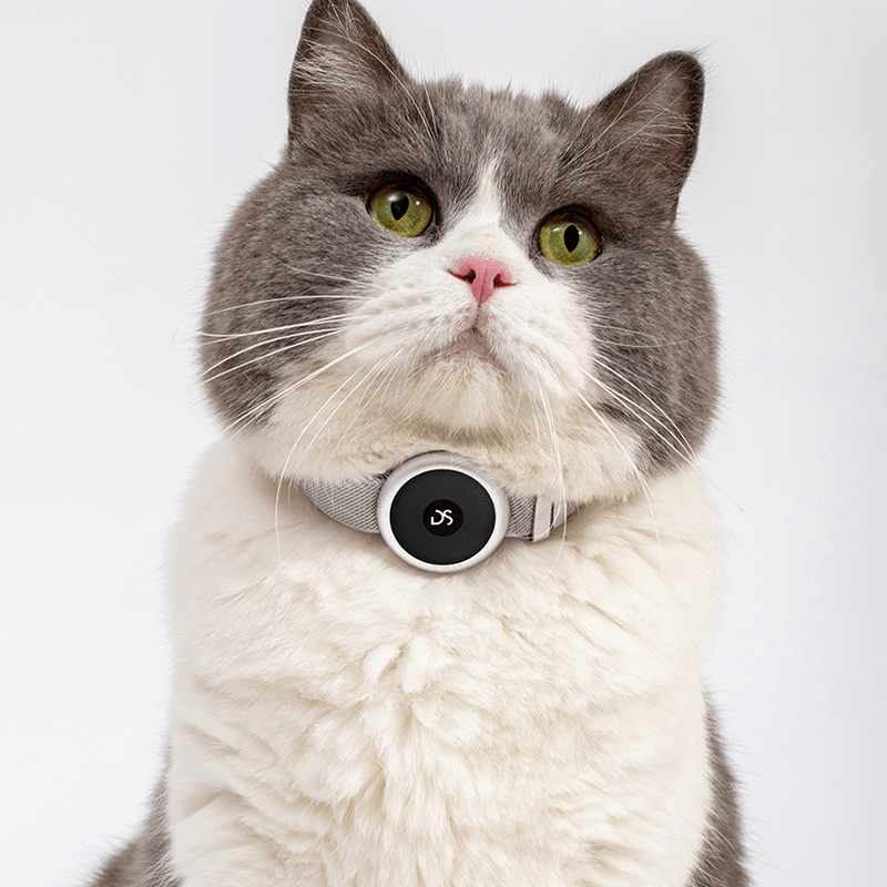 Waterproof GPS Pet Tracker Airtag Collar Customized Anti - Lost Device - PIKAPIKA