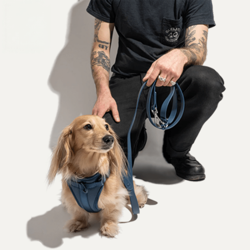 Waterproof No - Pull Dog Harness Leash Set Vest - Style Collar - PIKAPIKA