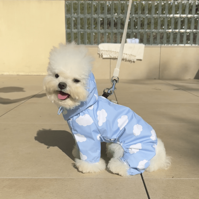 Waterproof Printed Hooded Dog Raincoat with Heart Cloud Design - PIKAPIKA