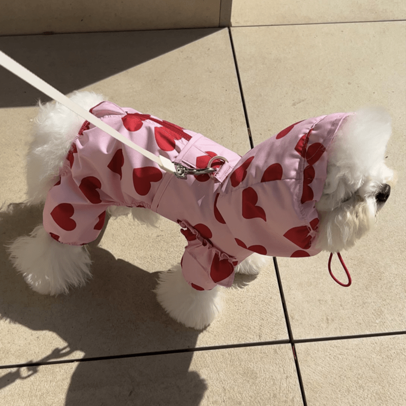 Waterproof Printed Hooded Dog Raincoat with Heart Cloud Design - PIKAPIKA