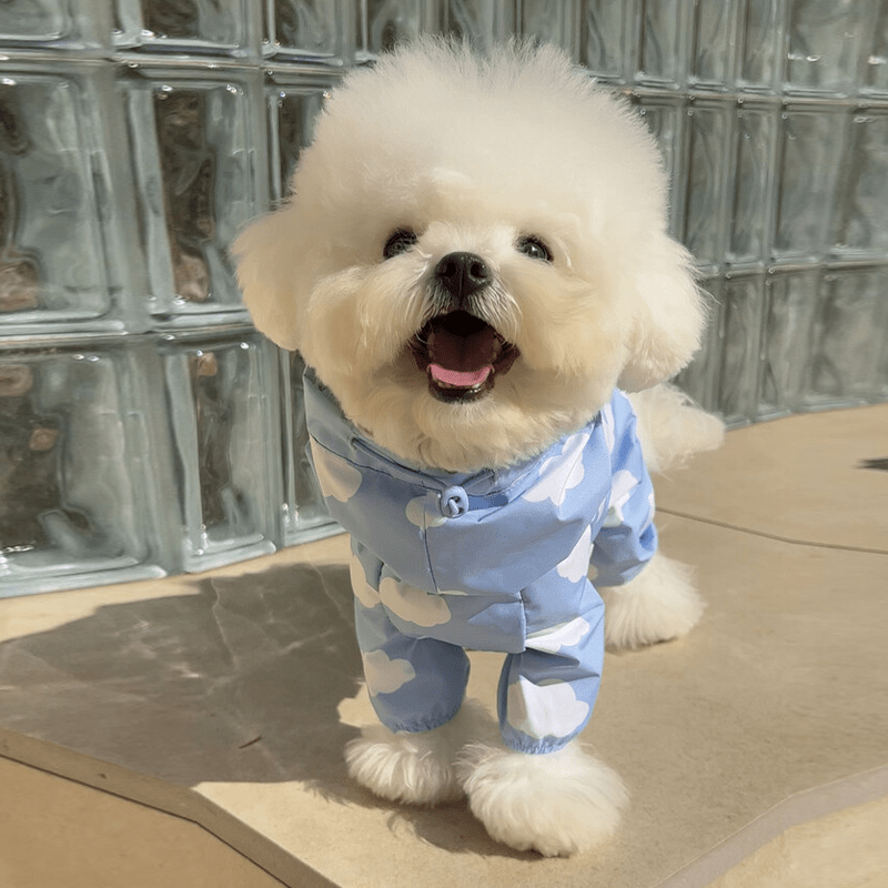 Waterproof Printed Hooded Dog Raincoat with Heart Cloud Design - PIKAPIKA