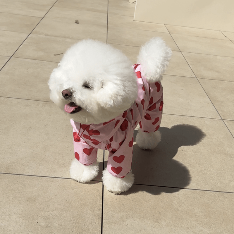 Waterproof Printed Hooded Dog Raincoat with Heart Cloud Design - PIKAPIKA