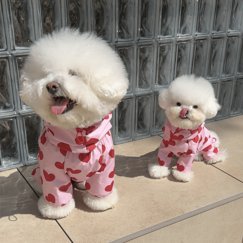 Waterproof Printed Hooded Dog Raincoat with Heart Cloud Design - PIKAPIKA