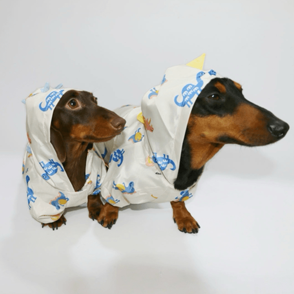 Waterproof Raincoat Dachshund Spring Summer Outfit - PIKAPIKA
