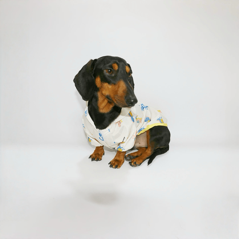 Waterproof Raincoat Dachshund Spring Summer Outfit - PIKAPIKA
