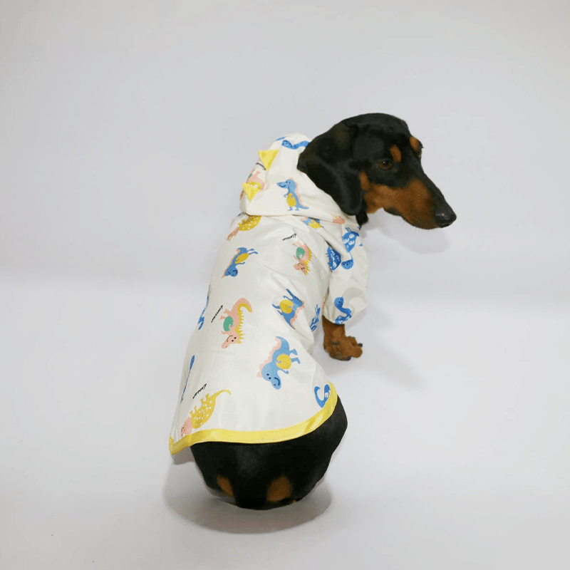 Waterproof Raincoat Dachshund Spring Summer Outfit - PIKAPIKA