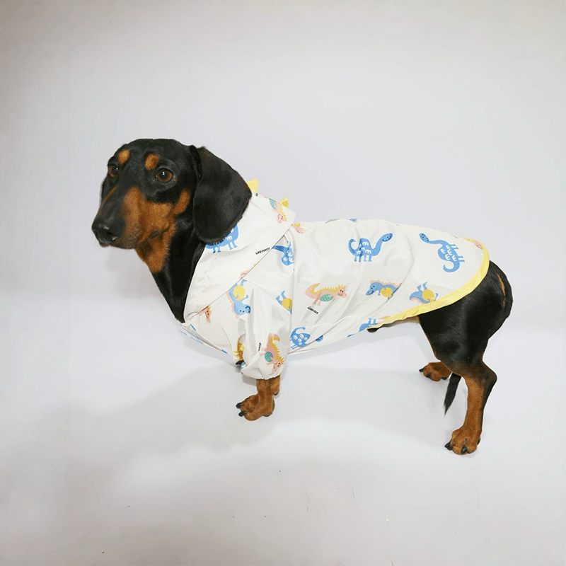 Waterproof Raincoat Dachshund Spring Summer Outfit - PIKAPIKA
