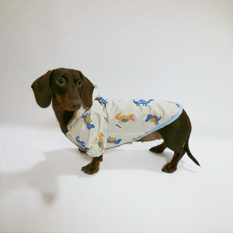Waterproof Raincoat Dachshund Spring Summer Outfit - PIKAPIKA