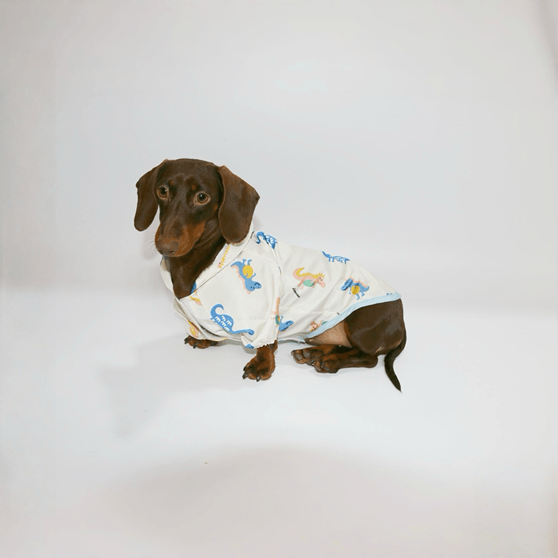 Waterproof Raincoat Dachshund Spring Summer Outfit - PIKAPIKA